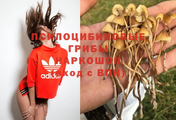 ГАЛЛЮЦИНОГЕННЫЕ ГРИБЫ Магас