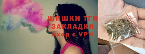 ГАЛЛЮЦИНОГЕННЫЕ ГРИБЫ Магас